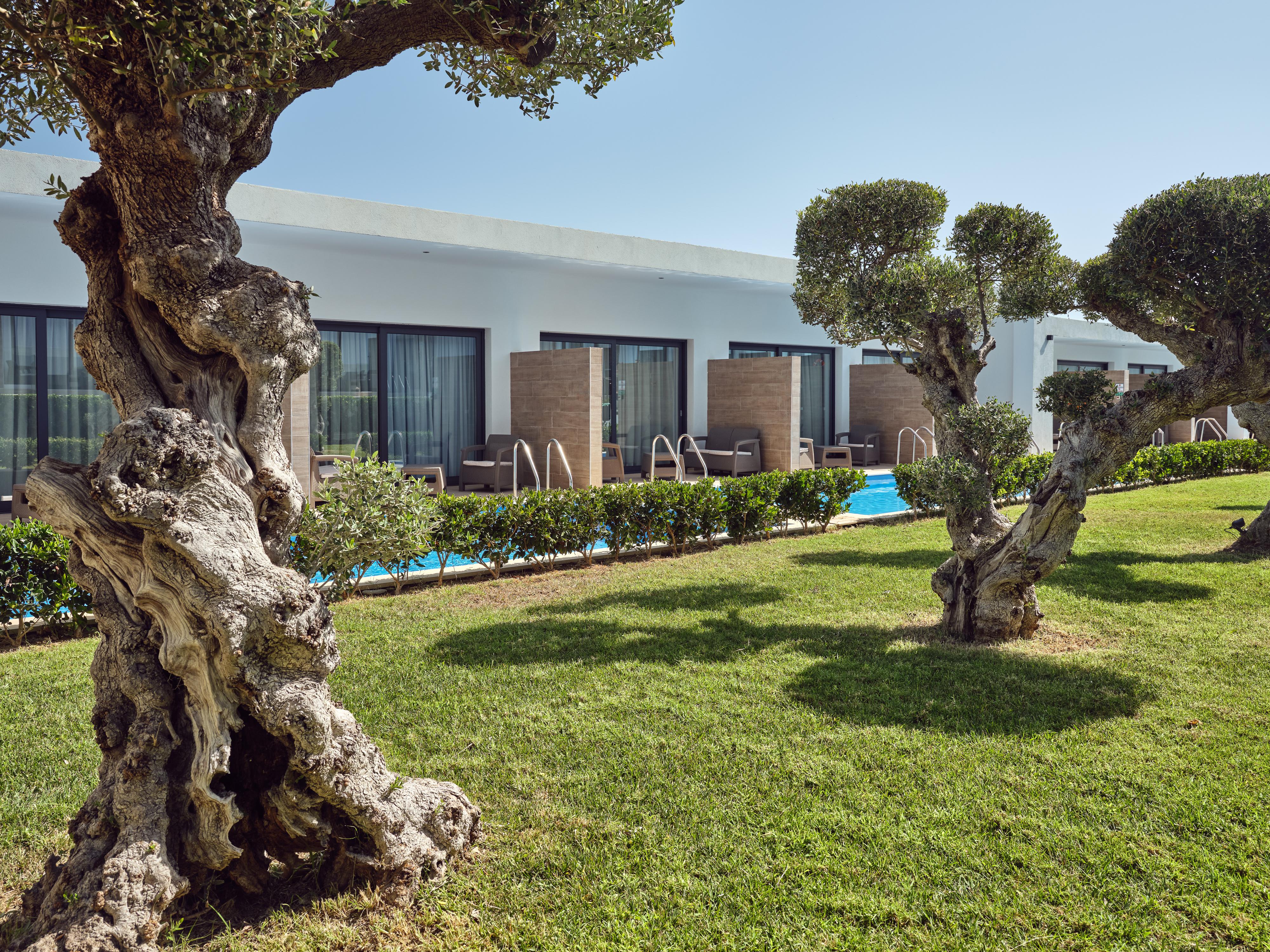 Cavo Orient Beach Hotel & Suites Drosia (Zakynthos) Exterior foto